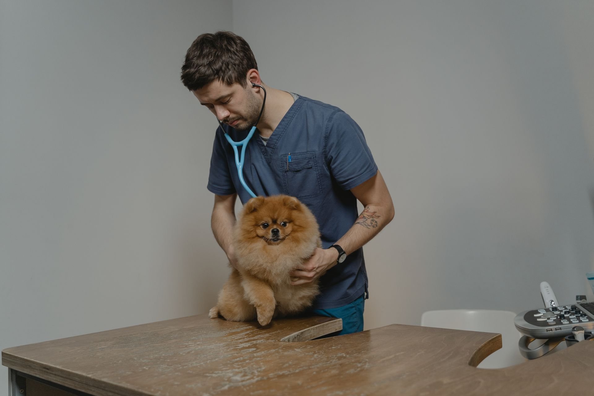 Veterinarias